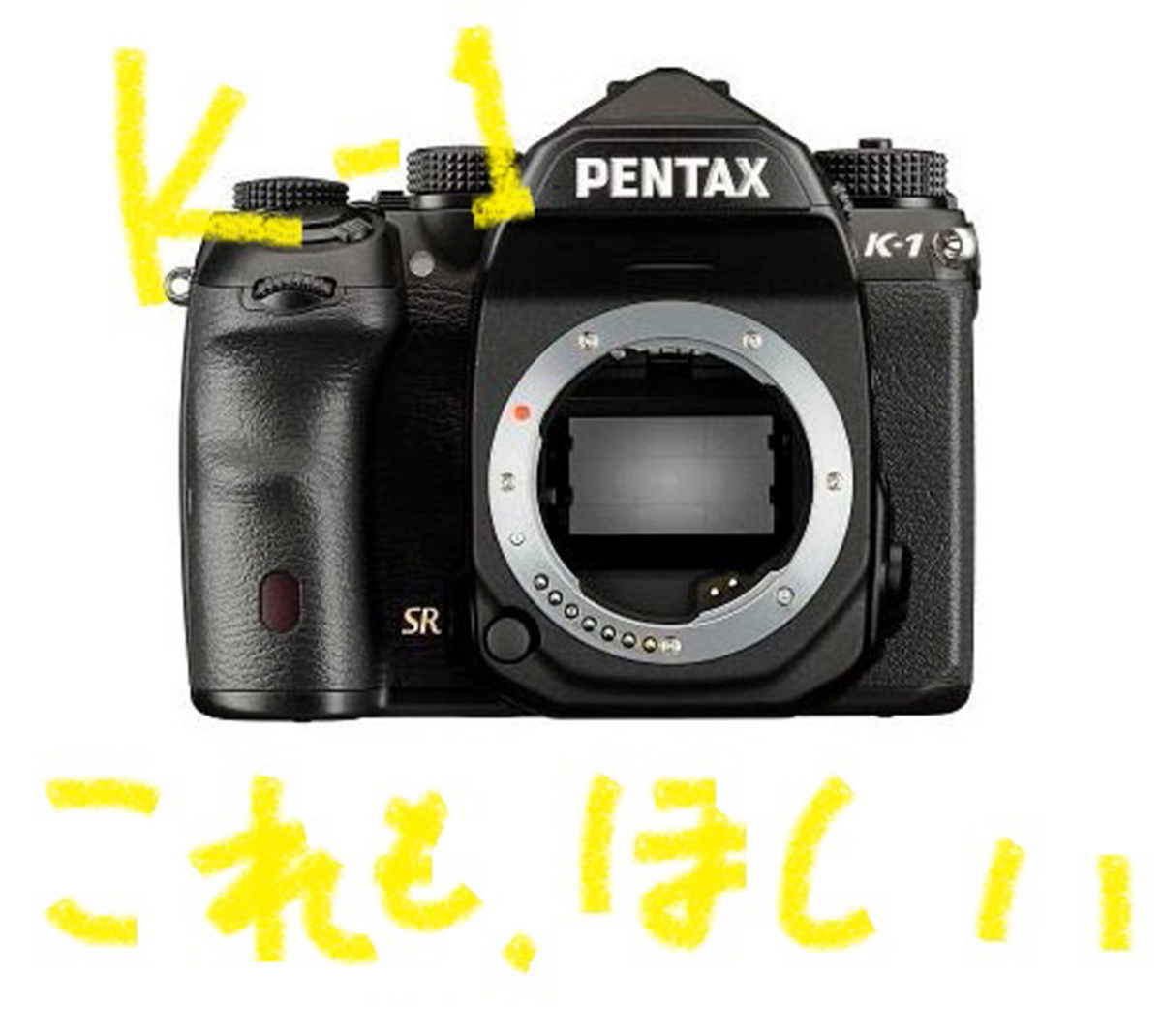 pentax_k-1_grip_f001[1]