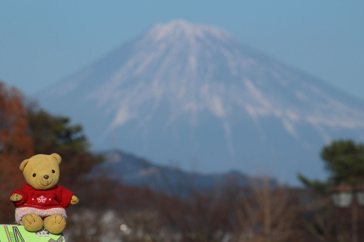 富士見芝生広場からの富士山と 160102