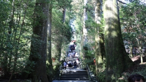 箱根神社２
