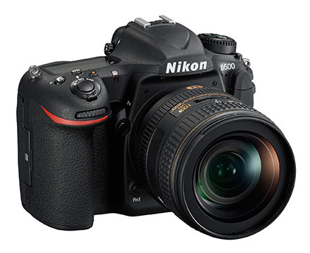 ニコンD500 作例 Nikon D500 sample images│写真家・山形豪のサファリ日記