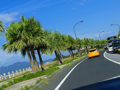 沖縄ドライブ