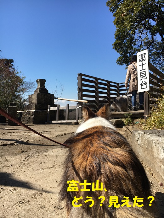 鎌倉散歩１