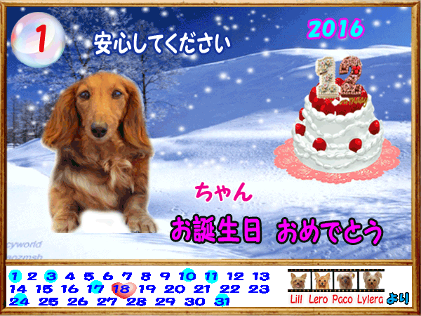 2016-01-18響ちゃん（12歳）お誕生日-のコピー