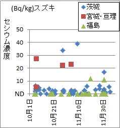 宮城・亘理や茨城に比べ低く出る福島県のスズキの検査結果