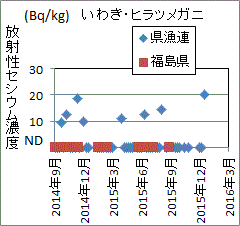 福島県漁連の検査ではセシウムが見つかっているのに、セシウムを見つけられない福島県のヒラツメガニの検査結果