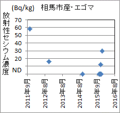 急上昇した福島県相馬市産エゴマのセシウム濃度