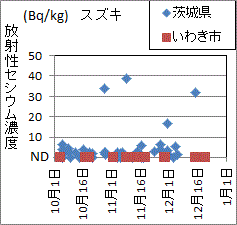 茨城より低い福島県いわき市のスズキの福島県の検査結果