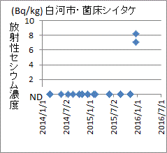 突然上昇した福島県白河市の菌床シイタケのセシウム濃度