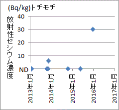 突然に上昇した福島産トチモチのセシウム濃度