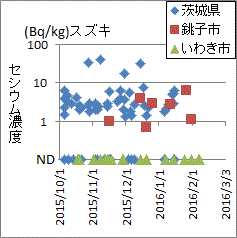 千葉・銚子や茨城に比べ低い福島・いわき市産スズキの検査結果