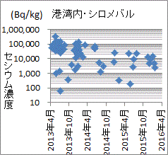 事故から５年経っても下がる気配が無い福島第一港湾内シロメバルのセシウム濃度