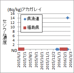 他に比べ低く出る福島県のアカガレイの検査結果