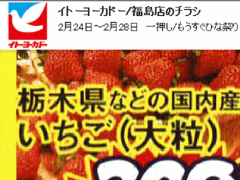 他県産あっても福島産イチゴが無い福島県福島市のスーパーのチラシ