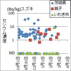 千葉県銚子や茨城県産に比べ低い福島県いわき市産スズキの福島県の検査結果