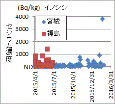 ２０１５年８月以降の検査が無い福島県産イノシシ