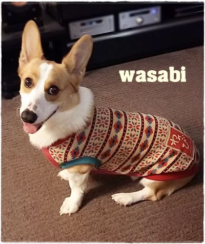 wasabi1.jpg