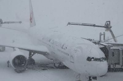 JAL飛行機除氷作業中400