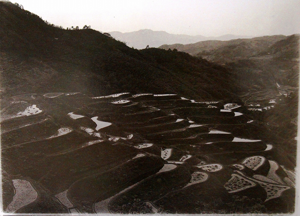 「佐渡万華鏡」67　大正後期 寛文9年に開田された畑野村の千枚田は山の斜面に小さな段々畑