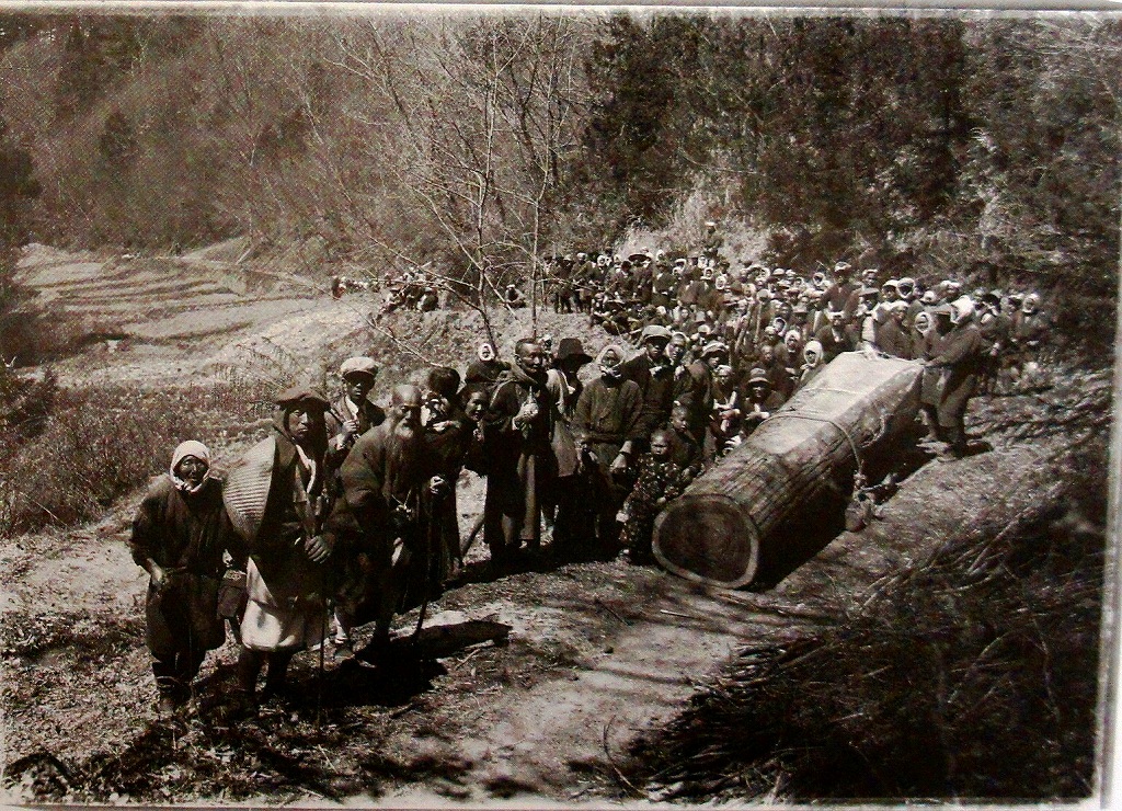 「佐渡万華鏡」 81－A　大正後期　大観音像を彫るために大杉の用材を、村人が総出で運ぶ