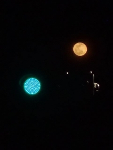 青信号と月