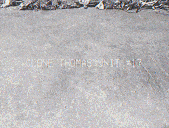 clonethomas_s.gif