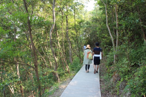 0065：豊島美術館 巡回路となる森を抜けていく