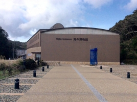 海の博物館